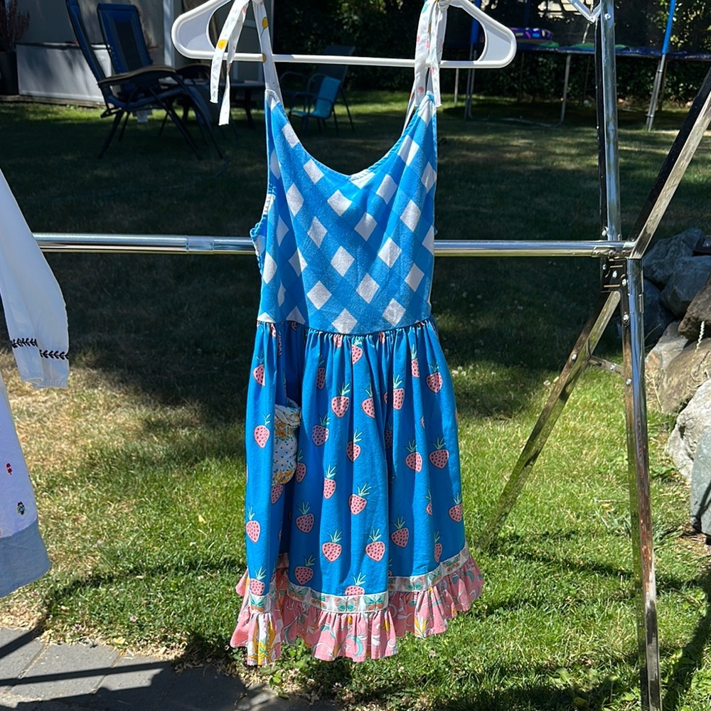 Wildflowers Blue and Pink Strawberry Dress